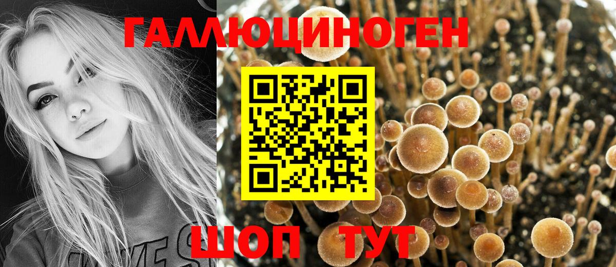 Псилоцибиновые грибы мицелий Донской