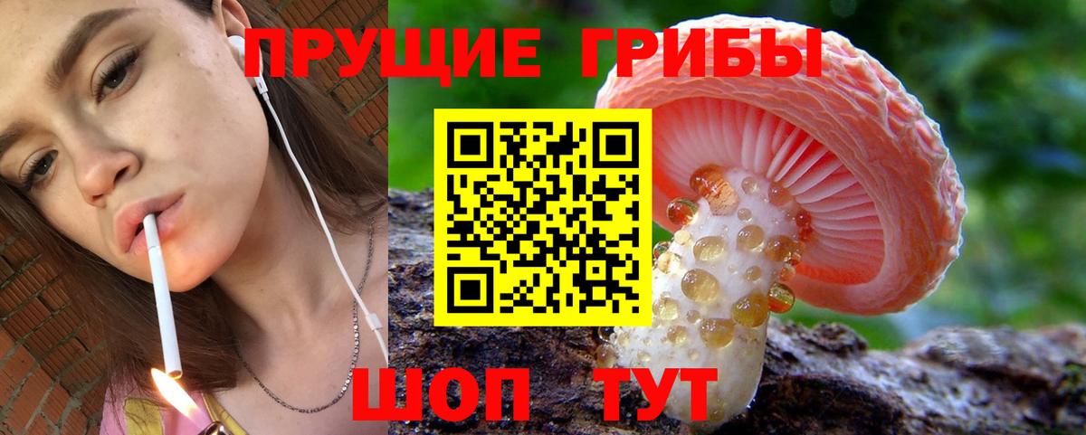 Псилоцибиновые грибы ЛСД  Вход с VPN  как найти наркотики  Донской  Псилоцибиновые грибы MAGIC MUSHROOMS 